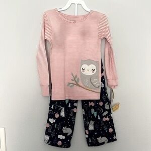 Owl Carter’s Pajamas Set Size 4T Pink & Blue NWT